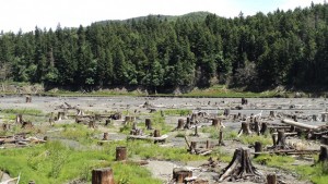 Seminário 2 anos do Código Florestal