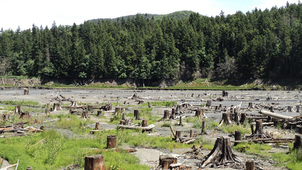 Debate promove última discussão sobre lei municipal de meio ambiente