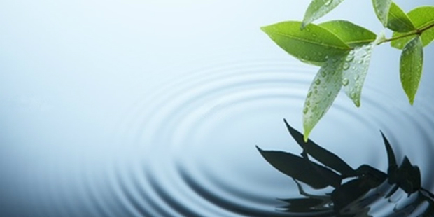 2ª Oficina “A Salvador que Queremos” discute mobilidade urbana e saneamento