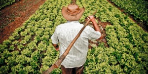 Acordo com a Anfavea facilita a venda de tratores para agricultura familiar