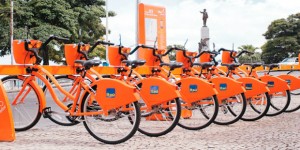 Laranjinhas podem ser retiras com Salvador Card