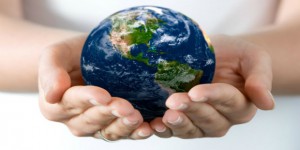 Indústria quer quebrar barreiras e explorar melhor a biodiversidade