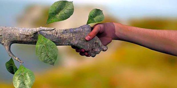 Cientistas lançam estudo sobre sustentabilidade no Brasil
