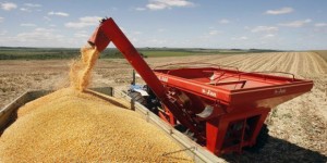 Safra de grãos pode atingir 199,9 milhões de toneladas, estima Conab