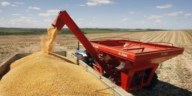 Safra de grãos pode atingir 199,9 milhões de toneladas, estima Conab