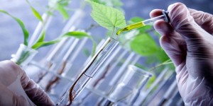 Inmetro abre inscrição para mestrado e doutorado no Rio de Janeiro