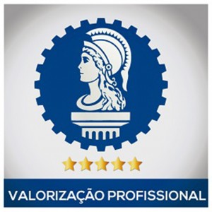 Confea defende atribuições profissionais no STF